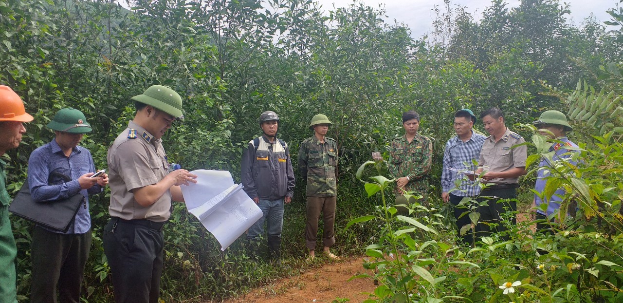Sơn Động: Chi cục Thi hành án dân sự huyện Sơn Động tập trung giải quyết xong dứt điểm các vụ việc tranh chấp đất rừng trên địa bàn, phấn đấu đạt và vượt các chỉ tiêu nhiệm vụ được giao năm 2023