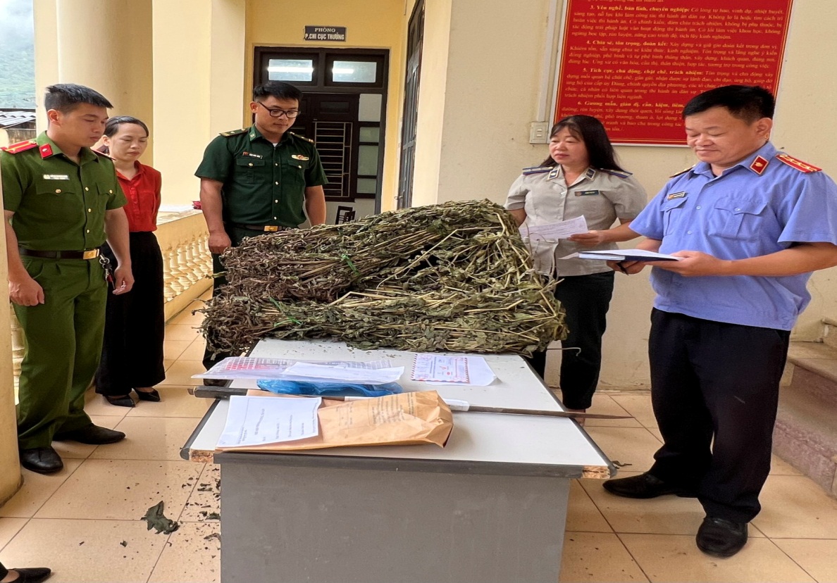 Chi cục Thi hành án dân sự huyện Hà Quảng tiêu hủy vật chứng