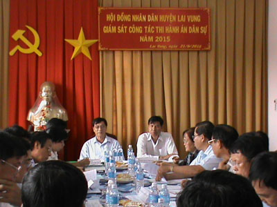 Hội đồng nhân dân huyện Lai Vung giám sát công tác  thi hành án dân sự trên địa bàn huyện năm 2015