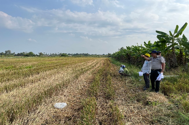 Chi cục Thi hành án dân sự huyện Lai Vung tổ chức cưỡng chế kê biên quyền sử dụng đất và tài sản gắn liền với đất