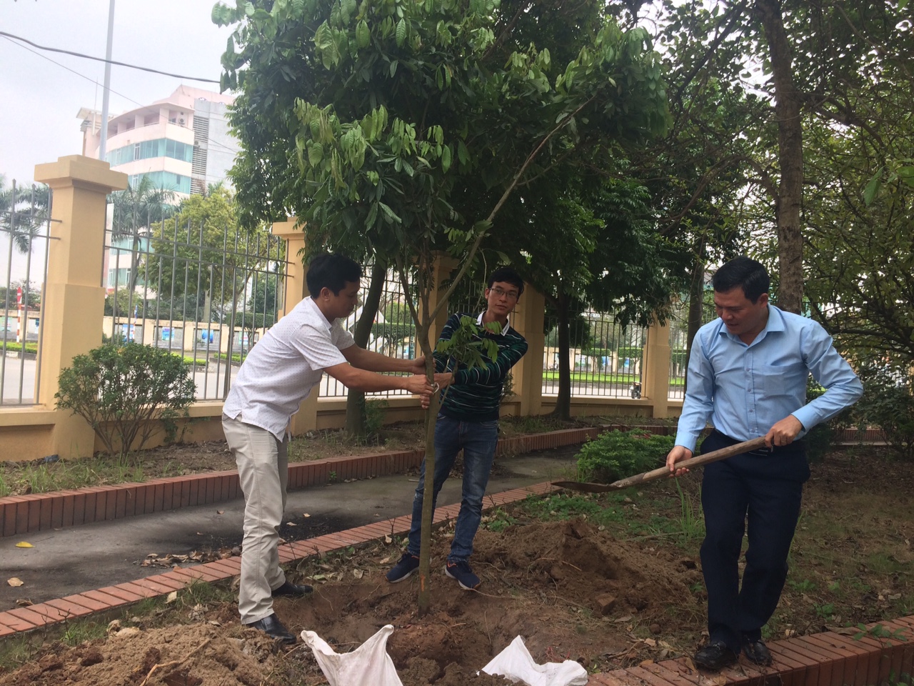 Cục THADS  tỉnh Hải Dương hưởng ứng tham gia Tết trồng cây 