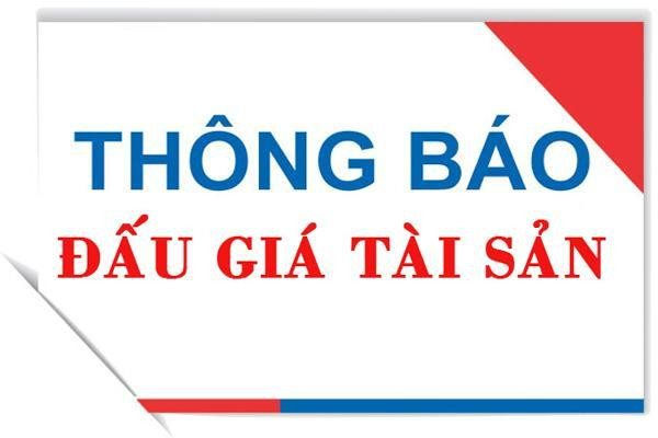 Cục THADS tỉnh triển khai văn bản chấn chỉnh, thực hiện quy định về đăng tải thông báo lựa chọn, kết quả lựa chọn tổ chức đấu giá tài sản trong nội bộ hệ thống THADS