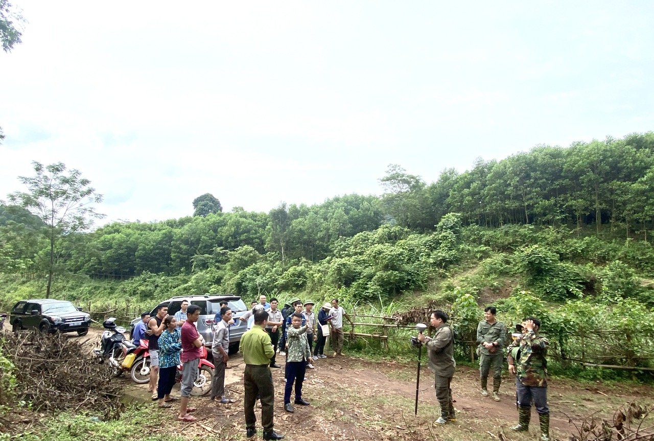 Cục Thi hành án dân sự tỉnh Hòa Bình tổ chức xác minh tài sản thi hành án trên diện tích đất rừng 3.500 hecta