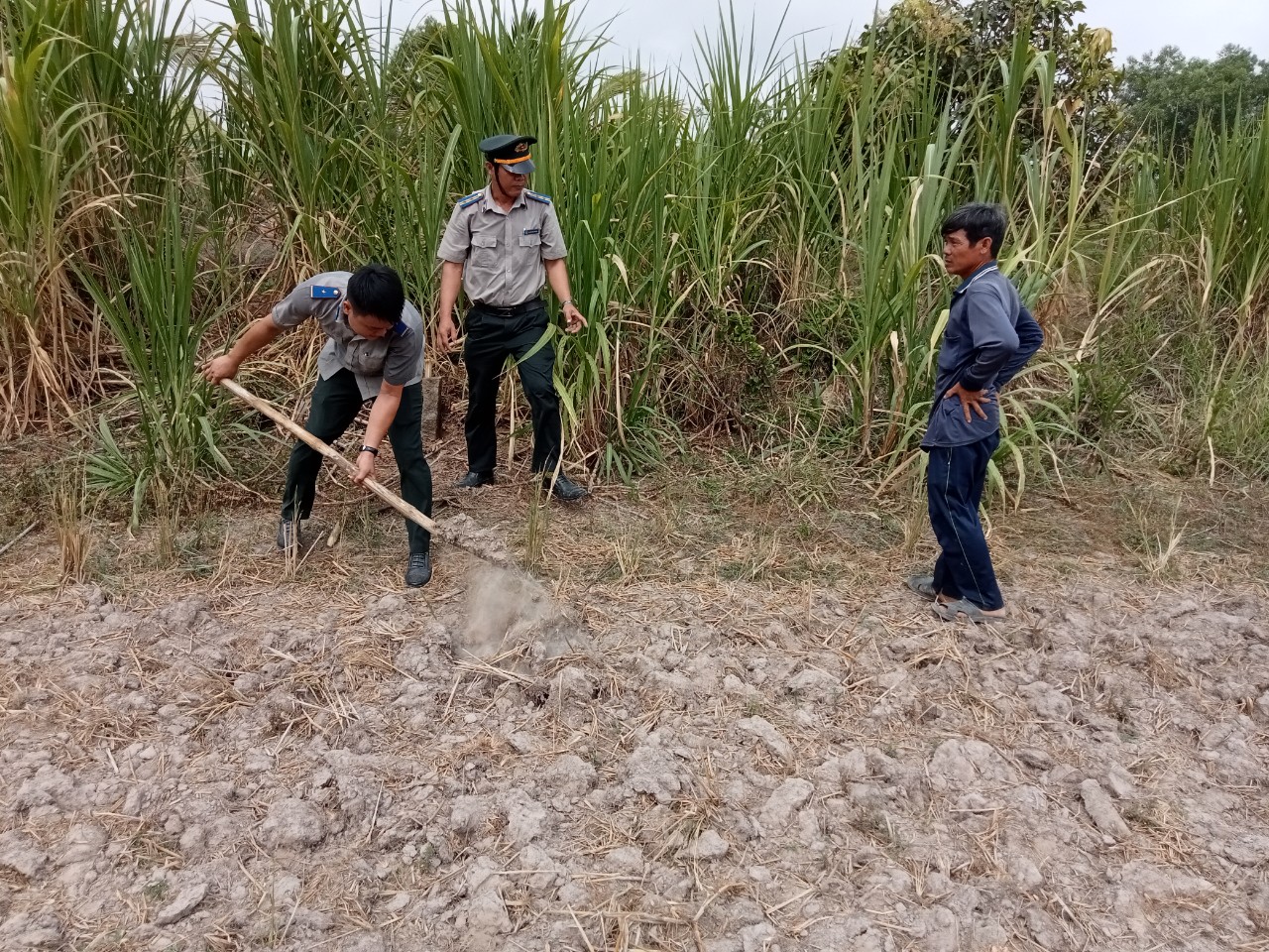 Vĩnh Hưng: Tổ chức cưỡng chế giao đất trên địa bàn xã Thái Trị, huyện Vĩnh Hưng