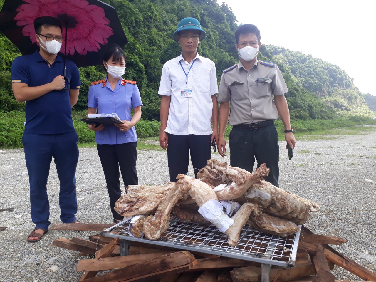 Chi cục Thi hành án dân sự thành phố Ninh Bình tiến hành tiêu hủy vật chứng là đồng vật quý hiếm 