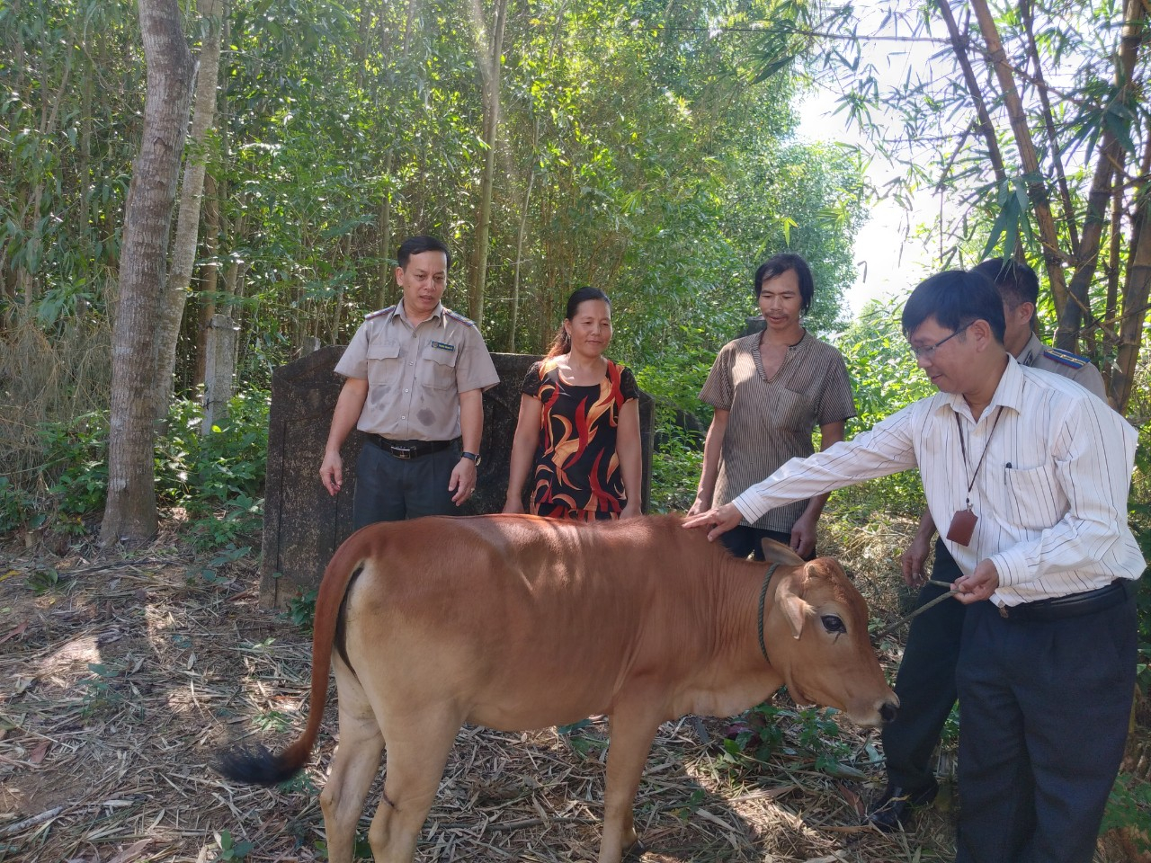 Ngành Thi hành án dân sự tỉnh Thừa Thiên Huế chung tay góp phần xây dựng nông thôn mới.