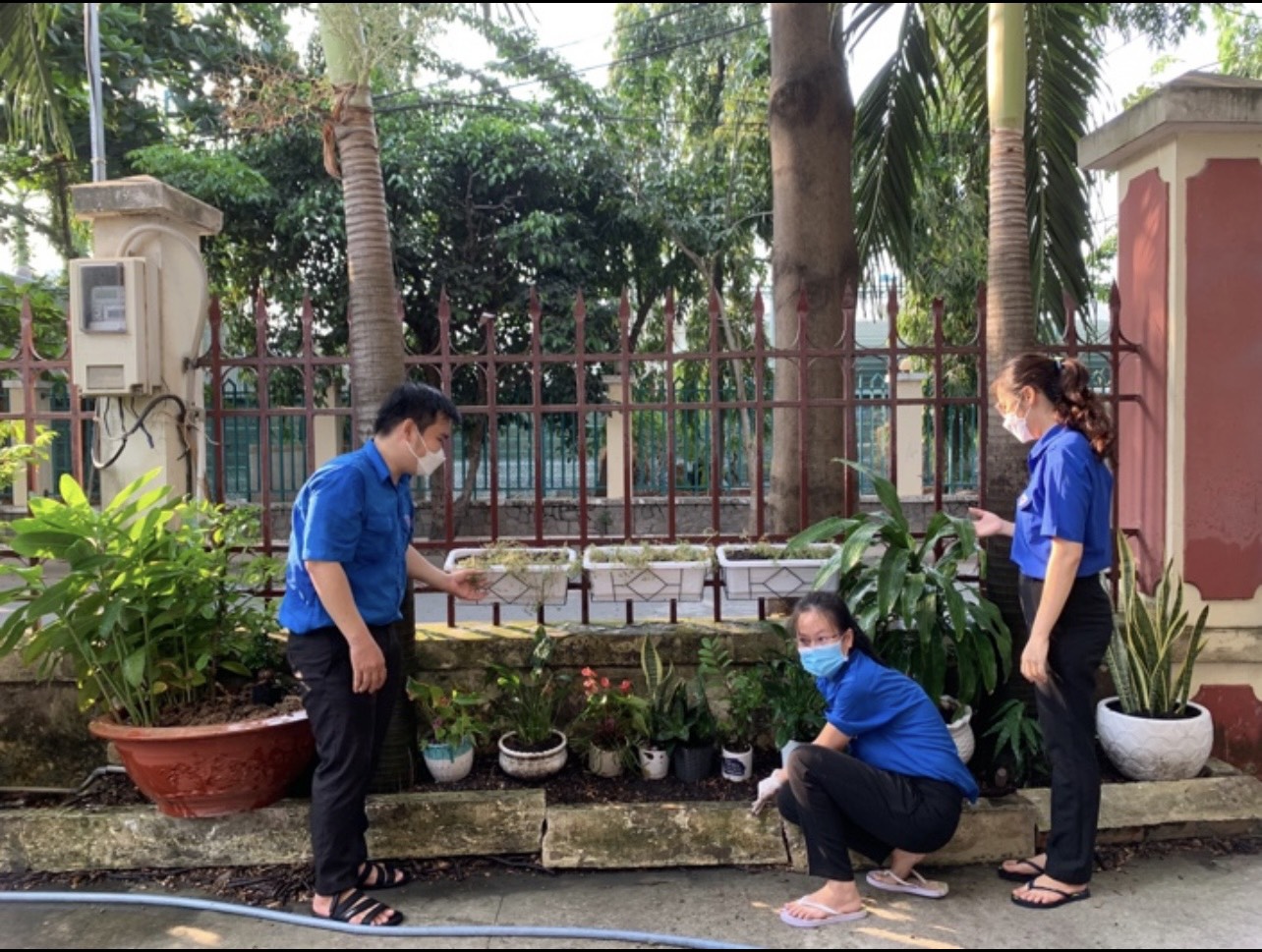 Chi đoàn Chi cục thi hành án dân sự quận Bình Thạnh trồng cây Kỷ niệm 132 năm ngày sinh Chủ tịch Hồ Chí Minh 19/5/1890-19/5/2022.