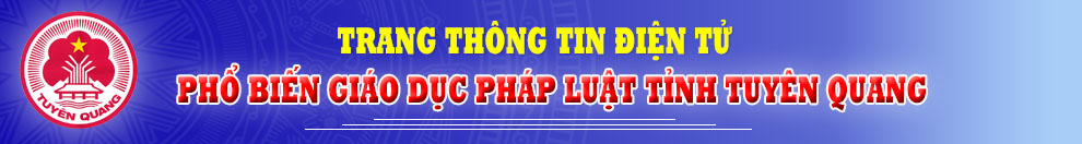 Trang TTĐT PBGDPL của tỉnh Tuyên Quang
