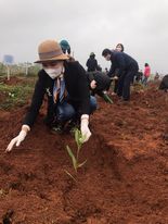 Chi cục Thi hành án dân sự thành phố Tuyên Quang tham gia Tết trồng cây “Đời đời nhớ ơn Bác Hồ” Xuân Nhâm Dần năm 2022.