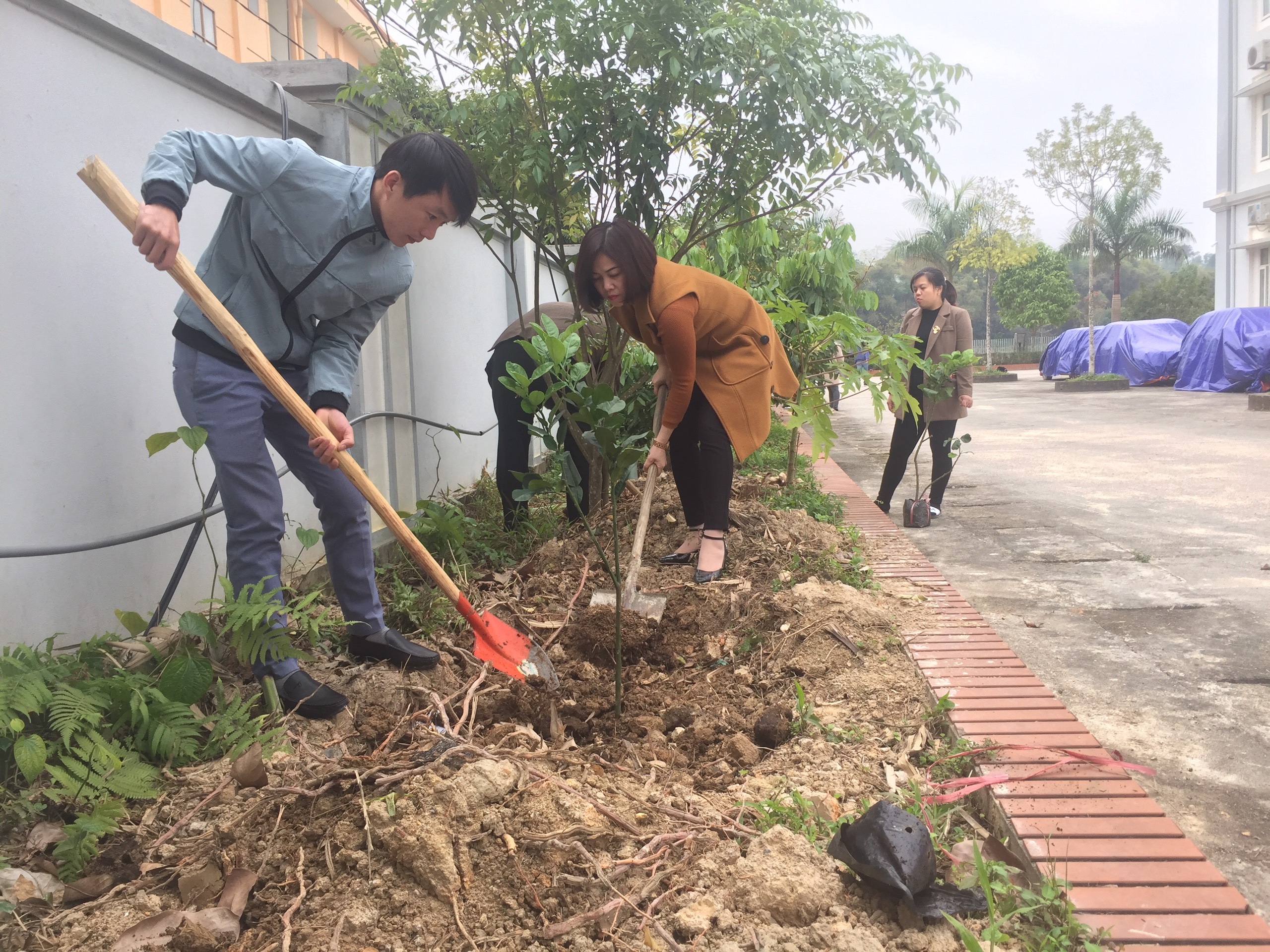 Cục Thi hành án dân sự tỉnh Cao Bằng hưởng ứng Tết trồng cây năm 2021